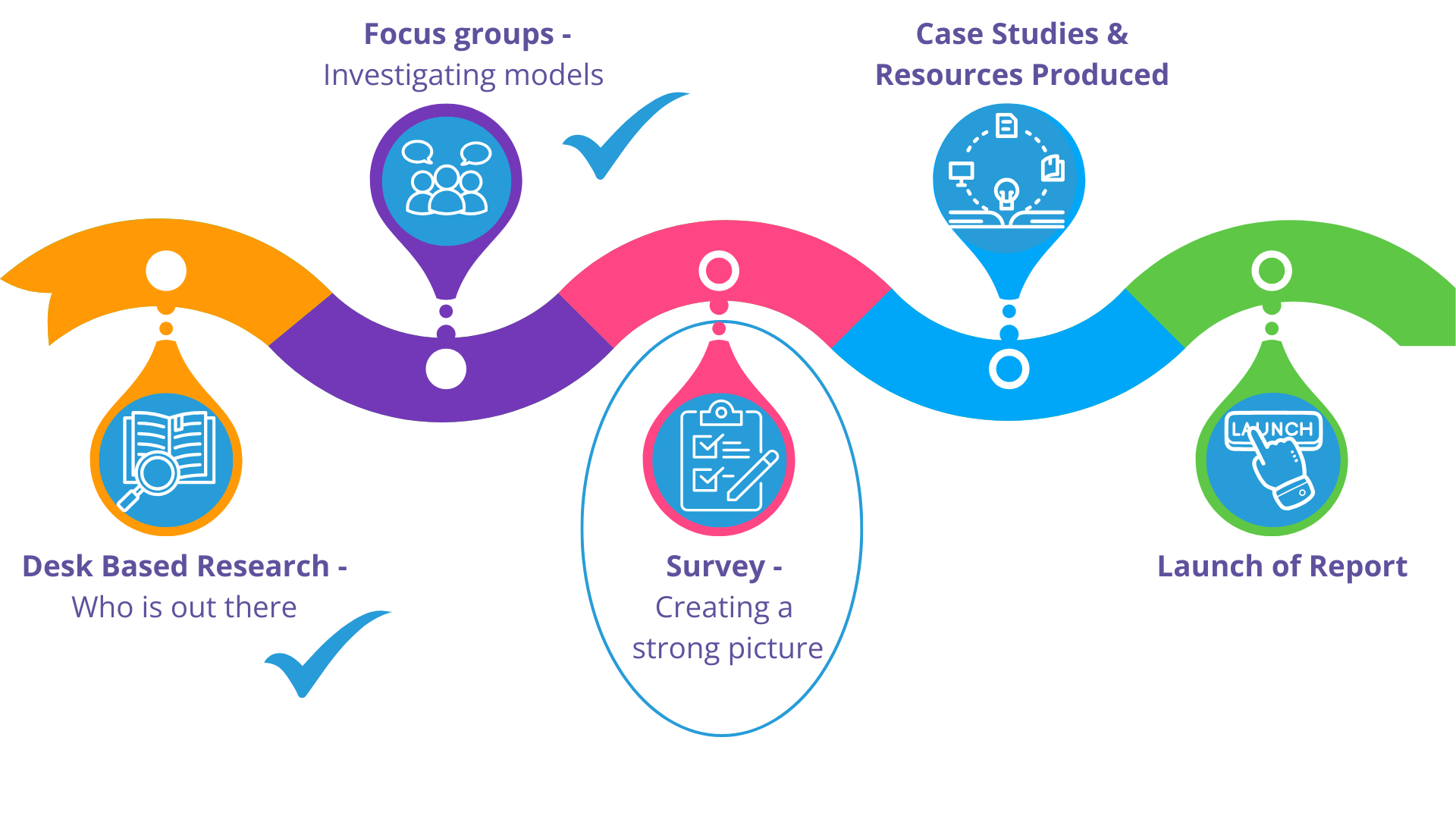 A line showing Desk based Research ticked, Focus groups ticked, Survey Circled Case Studies and Launch still to be marked