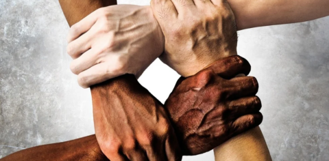 a stock image of four hands of different skin colour holding each other 