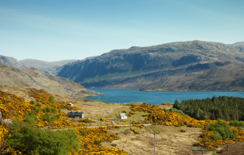 Image of a landscape of the Scottish Highlands