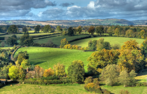 Shropshire Countryside near Ludlow featuring sunny skies and green grassy hills