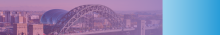 newcastle skyline photo with a magenta colour overlay.